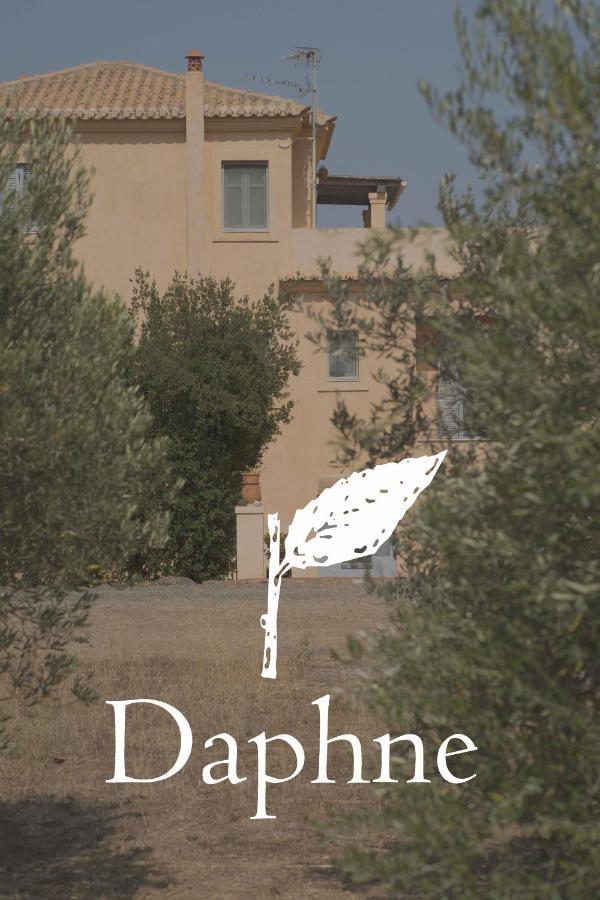 Daphne Villa Ermioni Dış mekan fotoğraf
